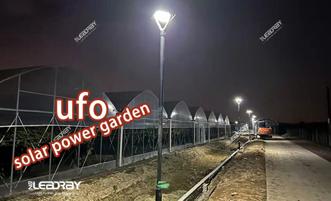 Ghana client fruits et plantes jardin extérieur cour lumières installation routière lampadaires solaires