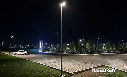 Les lampes solaires de jardin à LED 38 W de Leadray suscitent de nombreux éloges de la part des clients après leur installation dans leur cour.