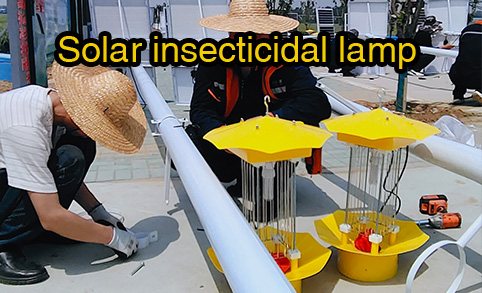 60 lampes solaires antiparasitaires installées dans les zones rurales