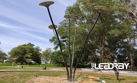 La lampe solaire de jardin à LED 30 W de Leadray a été très appréciée par les clients après son installation dans le parc