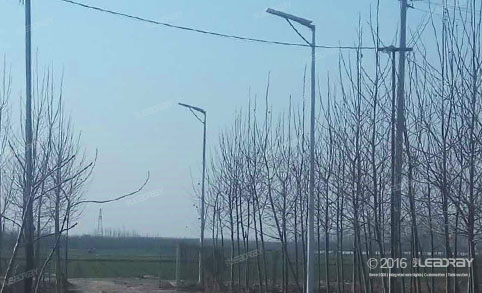 Lampadaire solaire autonome de 40 W pour applications agricoles