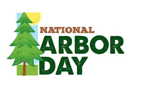 Bonne Journée de l'Arbre !