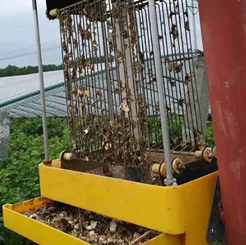 solar mosquito killer lamp
