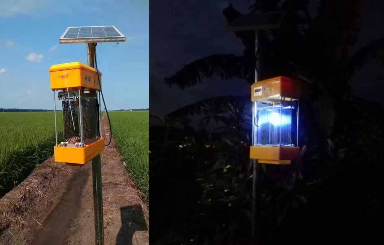 Solar insecticidal lamp