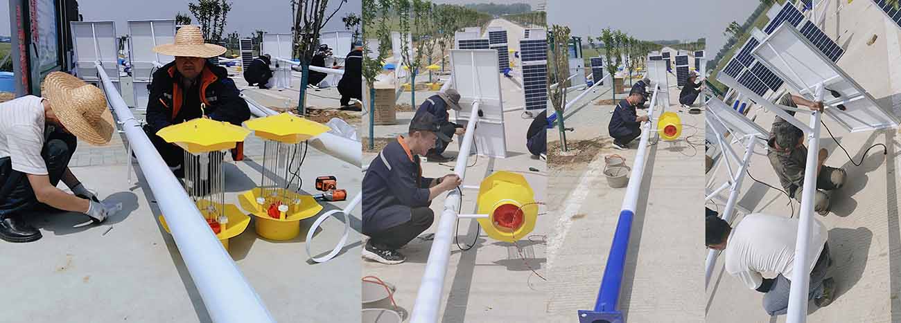 control insecticidal lamps