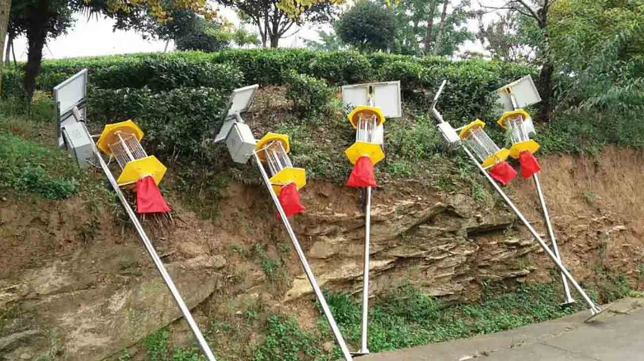 Solar energy insect-killing lamp Solar energy insect-killing lamp