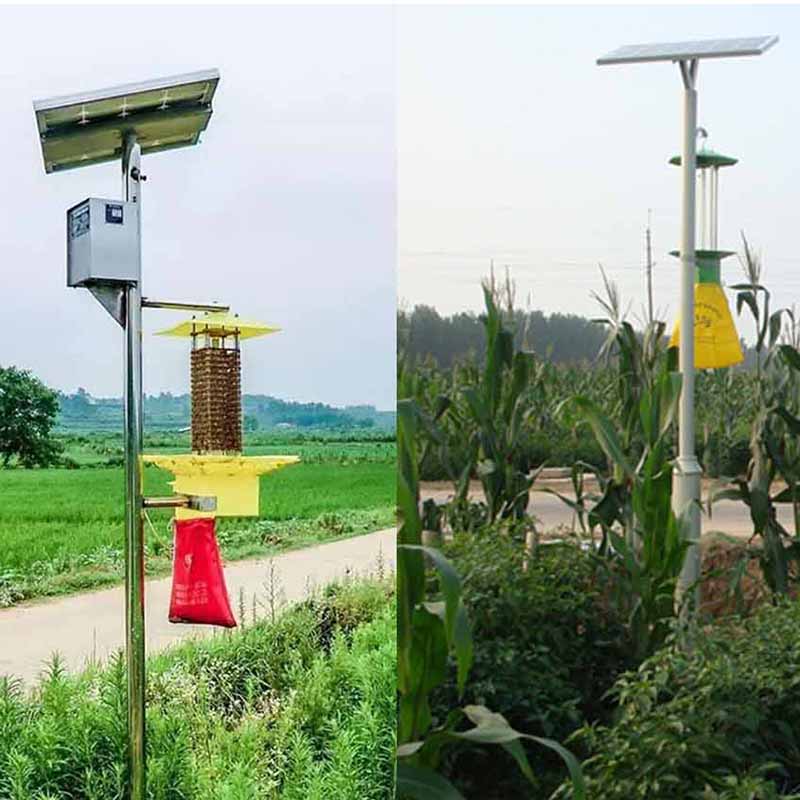 insect-killing lamp