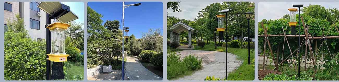 Mosquito Killer Lamp Mosquito Killer Lamp