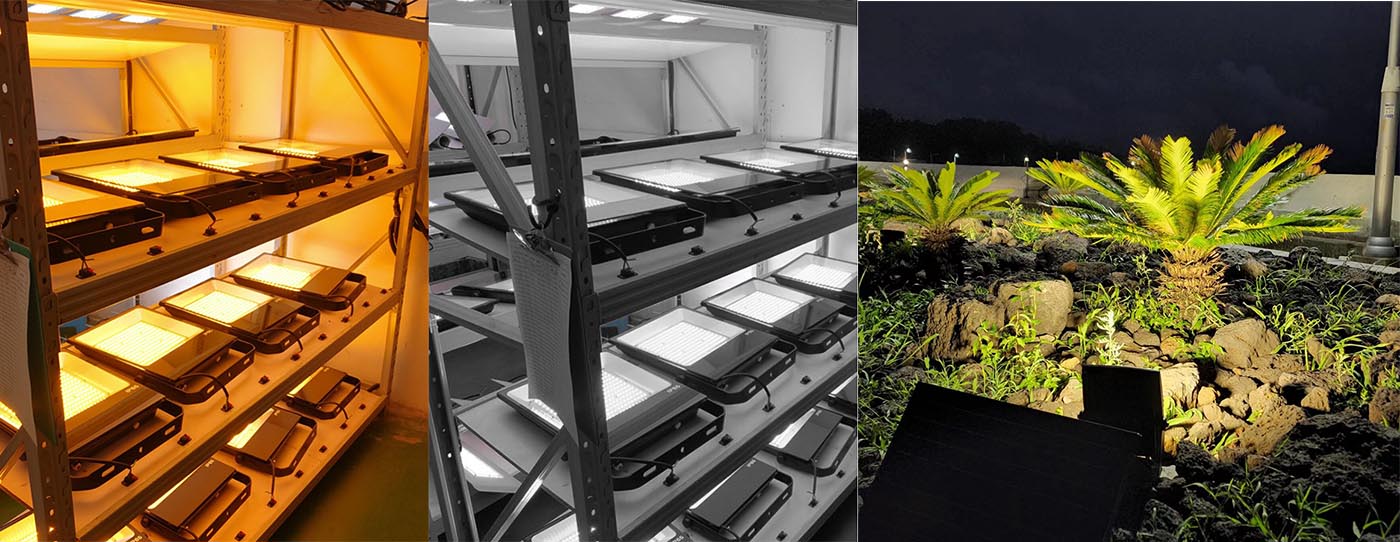 LEADRAY Brand  Lighting Assurance & Global Service