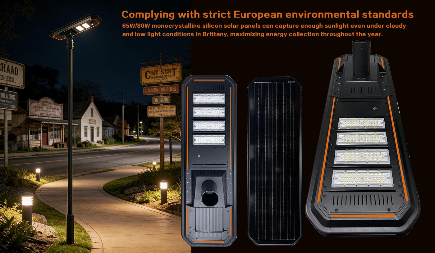 65W/80W monocrystalline silicon solar panels